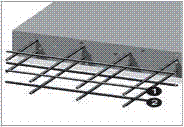 Wire Mesh
